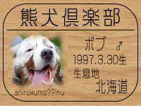 ���{�u���[�����HP��GO!